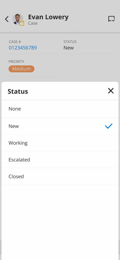 Editing case status